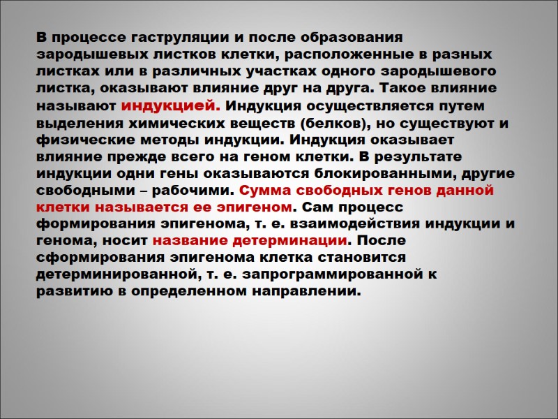 В процессе гаструляции и после образования зародышевых листков клетки, расположенные в разных листках или